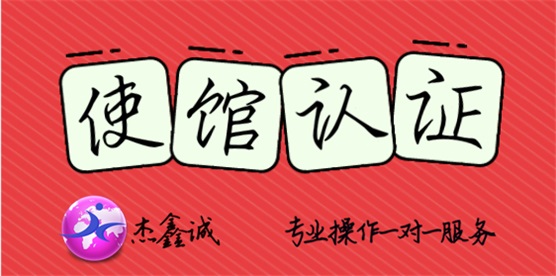 领事样本素材