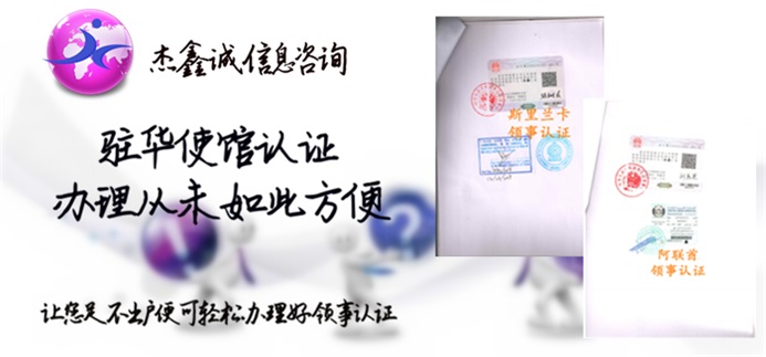 领事样本素材