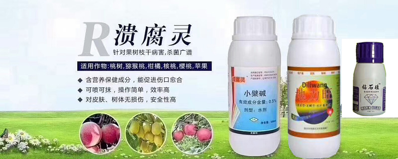 溃腐灵_副本