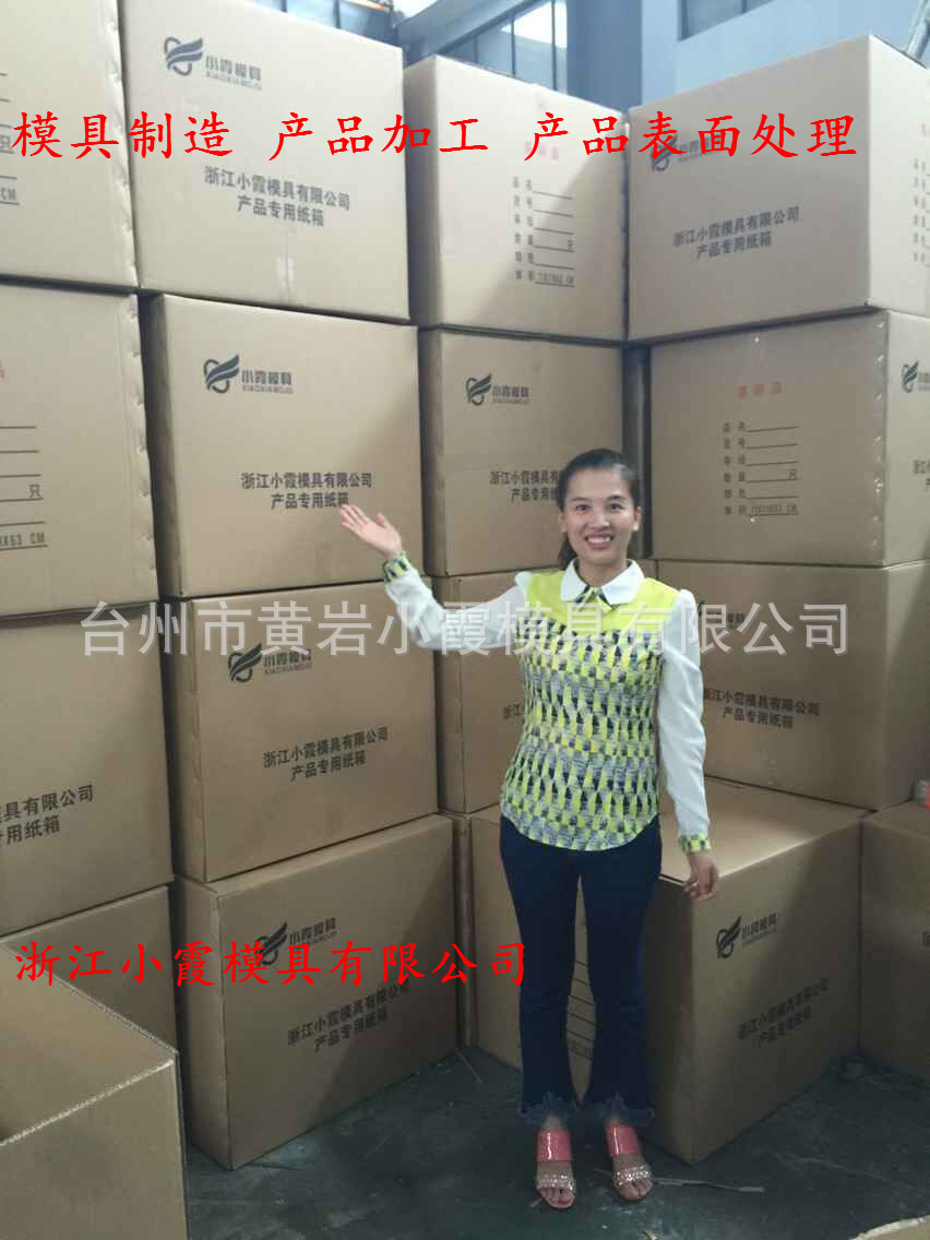 汽车模具 (12)