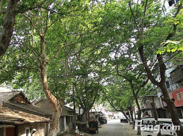 小市街50号小区 PK 小市街144号社区谁是鼓楼最热门小区？