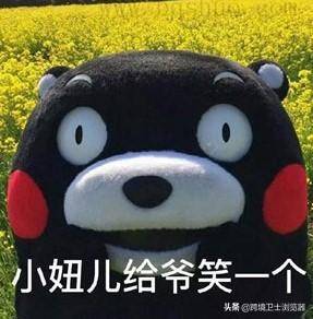 超级浏览器究竟是什么？（超级浏览器究竟是什么东西）