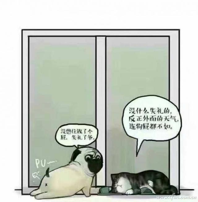 449元值不值？（小米空气净化器对比测评）