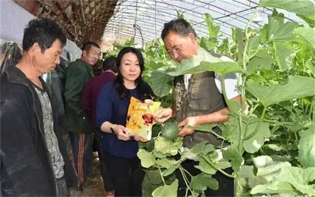 当前，普通人想创业，选择什么项目钱好赚、投资小、风险低？（什么样的小投资项目容易赚钱）