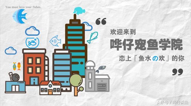 鱼缸放宠物鱼之前，务必先消毒，养鱼高手的消毒方法，真的好另类（鱼放入鱼缸前怎么消毒）