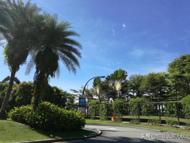 新加坡圣淘沙岛吃住玩全攻略（含环球影城、海洋馆）（新加坡圣淘沙海洋馆门票）