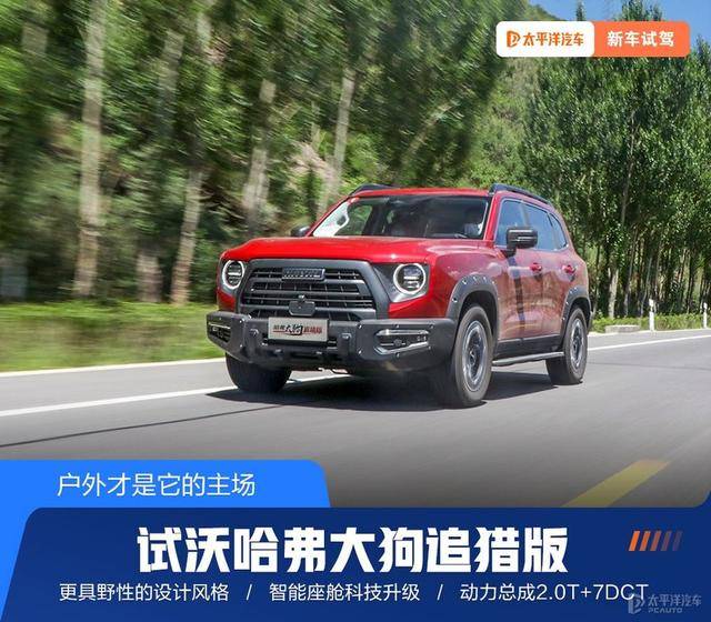哈弗大狗试驾，2.0T+四驱+差速锁，才15万左右（哈弗大狗2.0t四驱百公里加速）