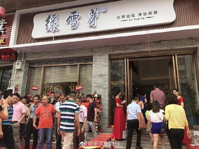 白茶龙头品牌绿雪芽旗舰店落户东莞（绿雪芽白茶有多少家旗舰店）