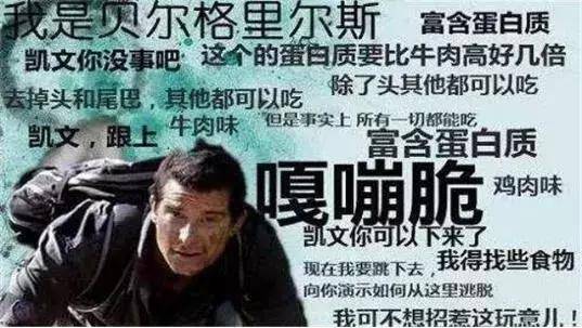 新驴装备入门指南：登山包什么牌子好？（驴友登山装备有哪些）