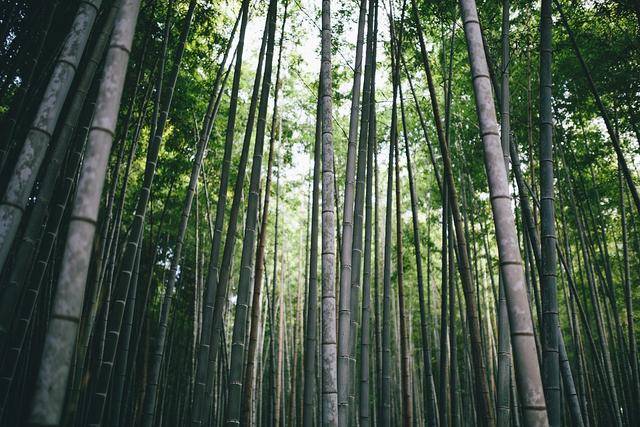小说：感官世界新体验，物质世界非唯一
