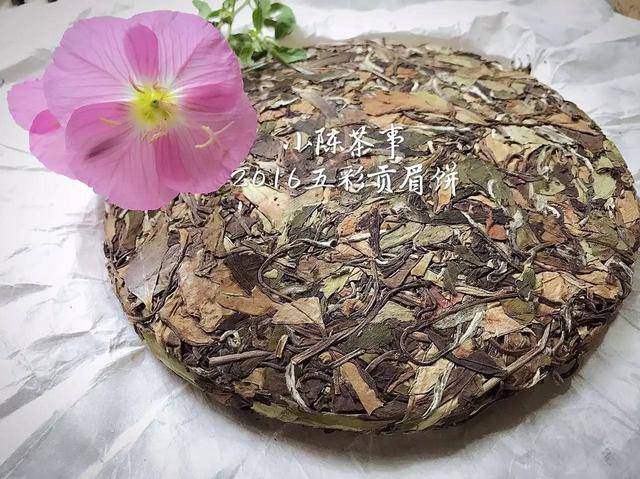 引起巨大争议的“绿雪芽”90年代茶饼，究竟是什么茶？（绿雪芽哪款茶有收藏意义）
