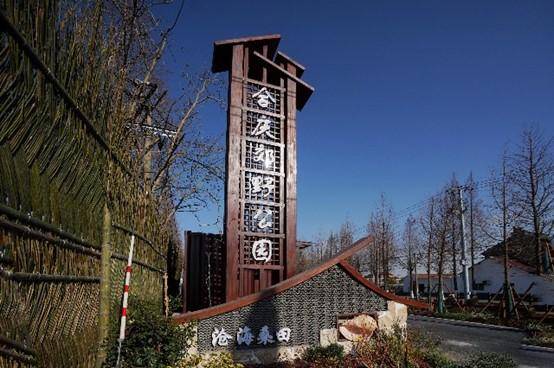 滨江森林公园二期年底建成，5年内公园增至百座，浦东又多了这些好去处