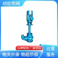 立式液下泵 静压密封 水力学性能 售后维护 靖能泵阀